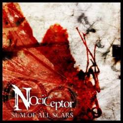 Nociceptor : Sum of All Scars